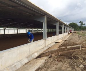 Estructuras Metálicas