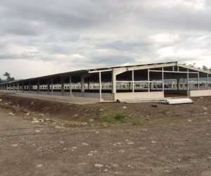 Estructuras Metálicas